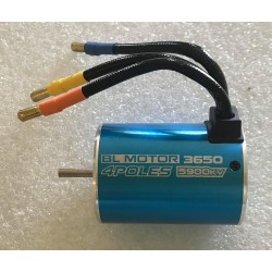 CPE-5900KV: 3650 5900kv Sensorless 4-Pole Brushless Motor