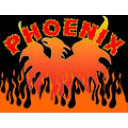 CPE-PHOENIX: Phoenix Clodbuster Race Chassis